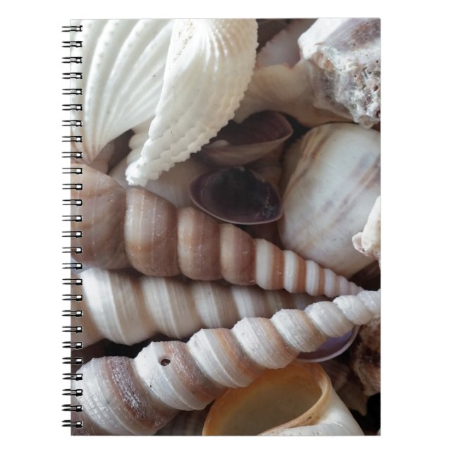 Exotic Seashells Collection, Summer Beach Notebook (Front)
