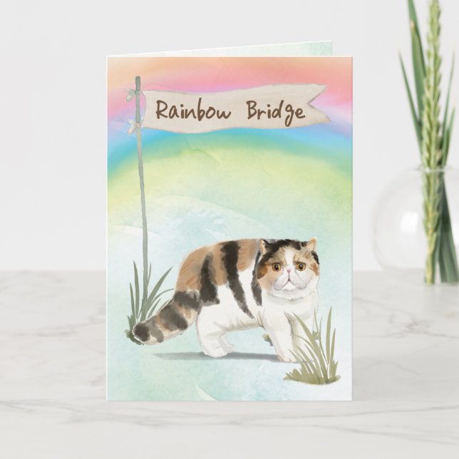 Exotic Short Hair Cat Pet Sympathy Over Rainbow  Card (Front)