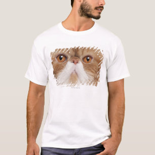 Exotic Shorthair (2,5 years old) T-Shirt