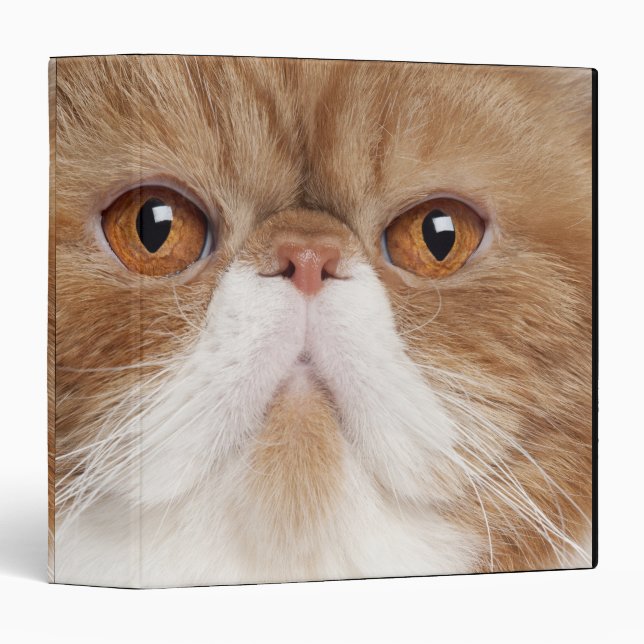 Exotic Shorthair Binder (Front/Spine)
