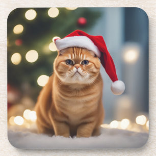 Exotic Shorthair Christmas Coaster