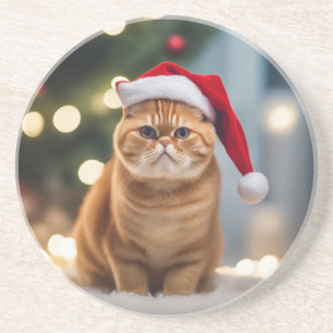 Exotic Shorthair Christmas Coaster