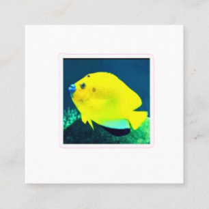 ​Exotic Threespot Flagfin Angelfish - Vibrant Trop Square Business Card