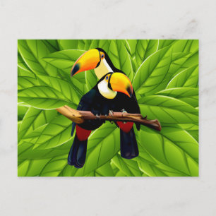 Exotic Toucans Postcard