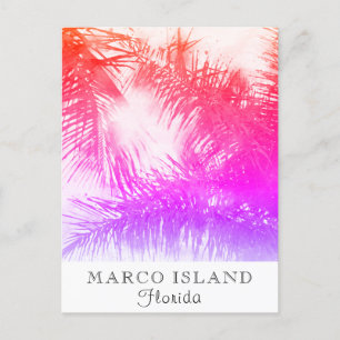 *~* Exotic Travel AP25 Personalize - Palm Leaf Postcard