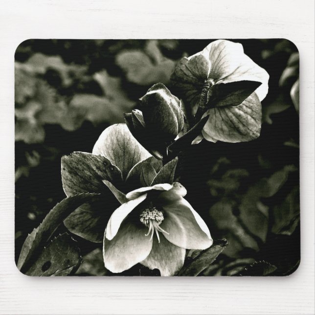 EXOTIC TREE FLOWERS IN BLACK AND WHITE MOUSE PAD (Front)
