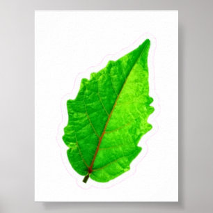 ​Exotic Tropical Green Leaf with Red Veins Macro P Poster