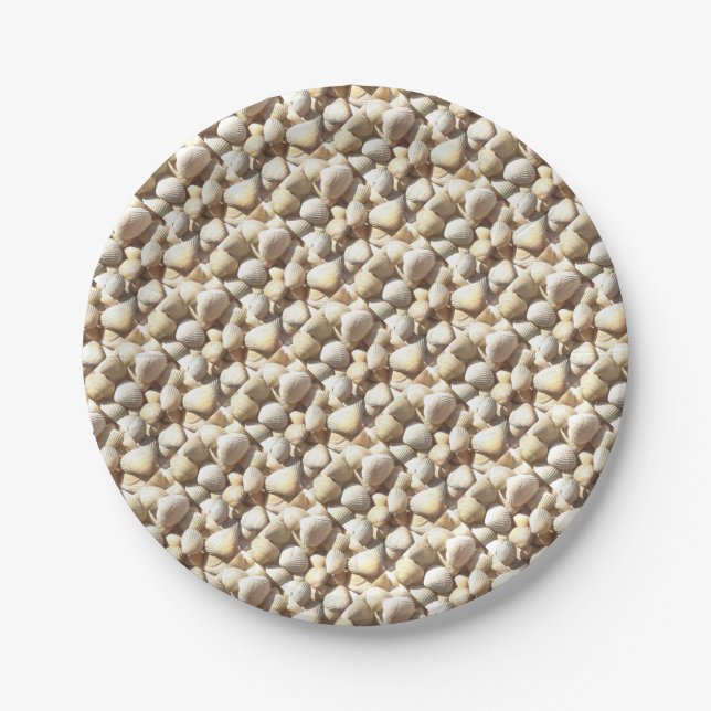 Exotic Tropical Sea Shell Summer Beach Photography Paper Plate (Front)