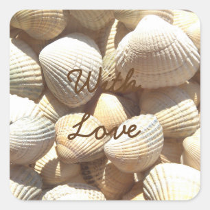 Exotic Tropical Sea Shell Summer Beach Photography Square Sticker