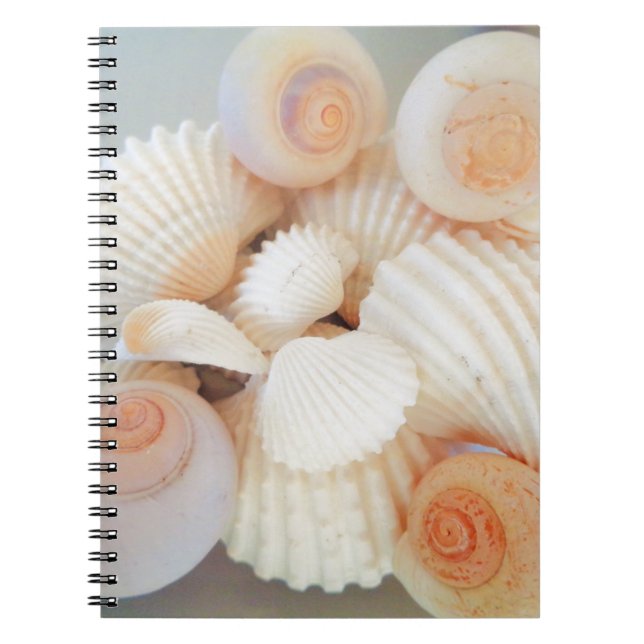 Exotic White Peach Sea Shells, Summer Beach Notebook (Front)