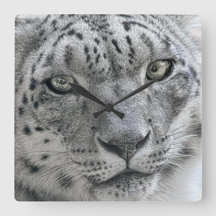 Exotic White Snow Leopard Square Wall Clock