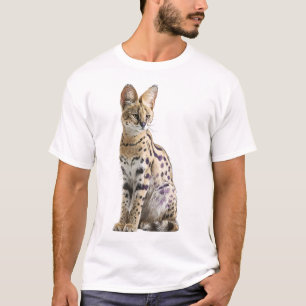 Exotic Wild Serval Cat Illustration Men T-Shirt