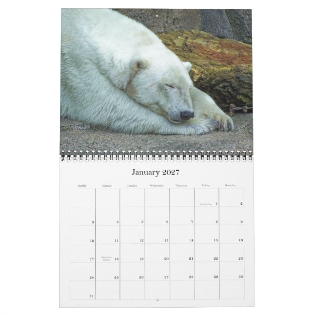 Exotic Wonders 2012 Calendar (Jan 2027)