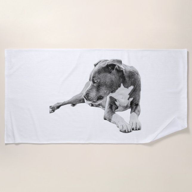 Expanded Reflection Beach Towel (Front)