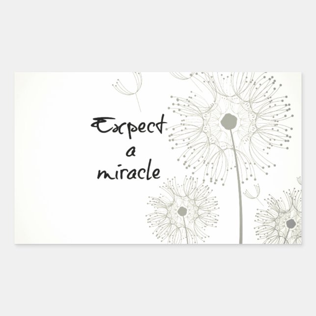 Expect a Miracle Inspirational Sticker (Front)