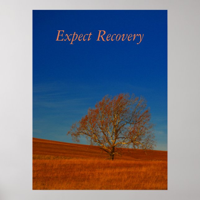 Expect Recovery Poster (Front)