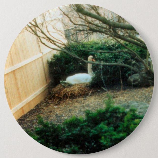 Expectant Mother 6 Inch Round Button (Front)
