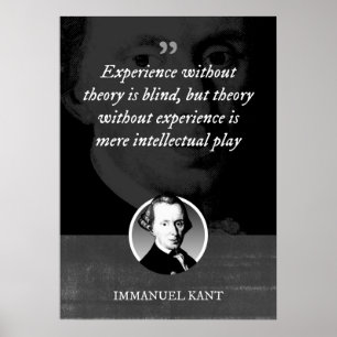 Experience without theory is blind poster
