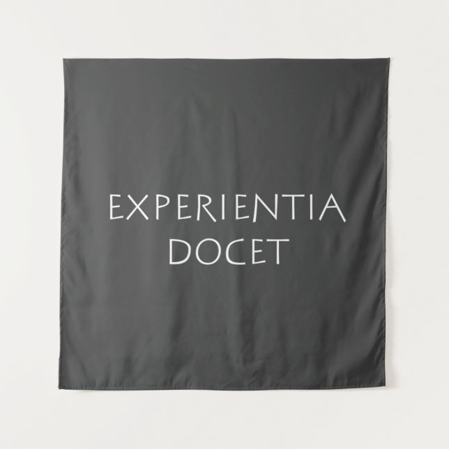 Experientia docet tapestry (Front)