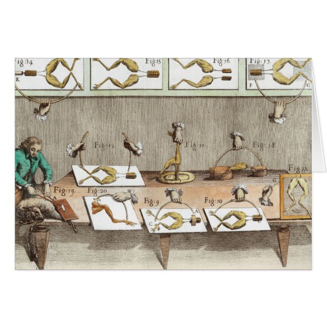 Experiment on frogs (Front Horizontal)