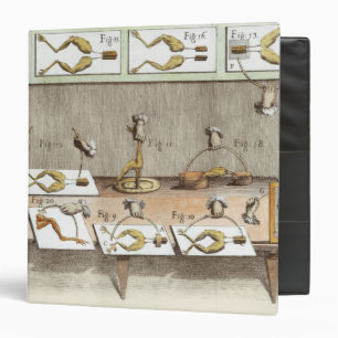 Experiment on frogs binder