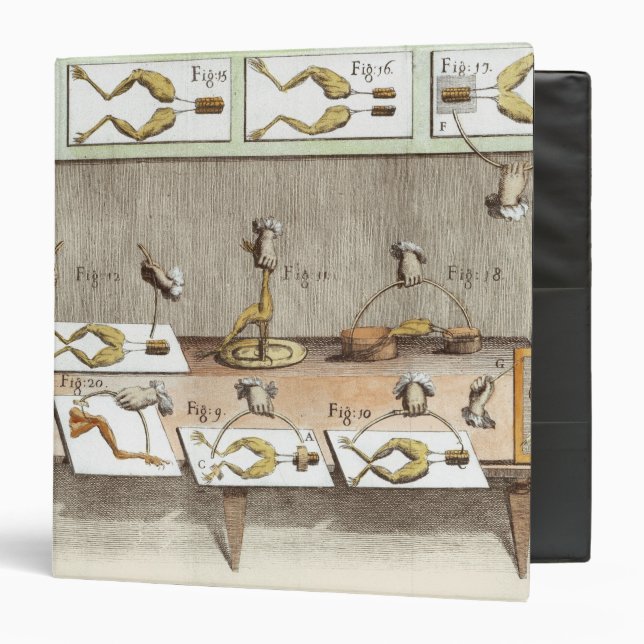 Experiment on frogs binder (Front/Inside)