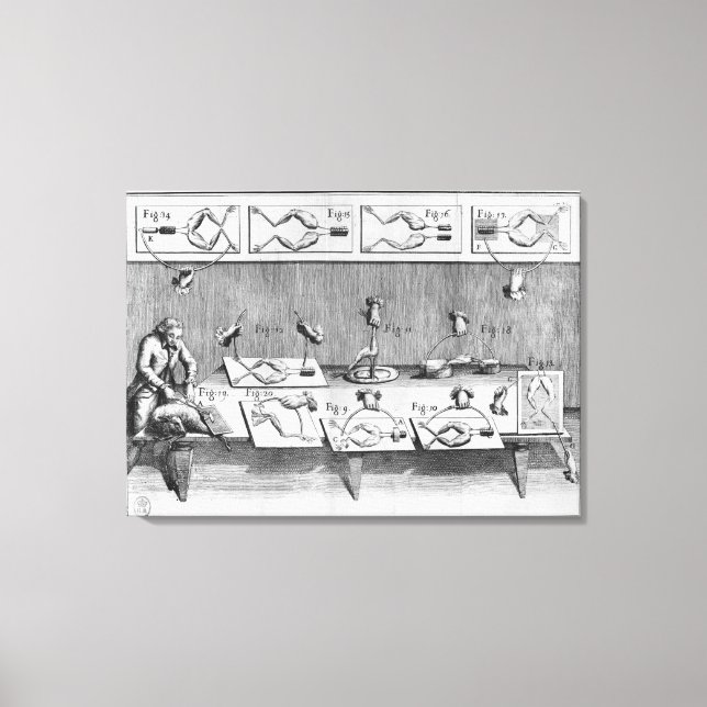 Experiment on frogs canvas print (Front)