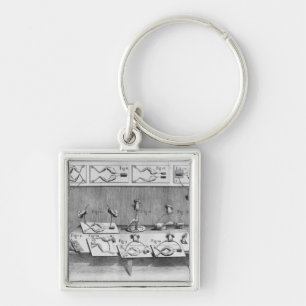 Experiment on frogs keychain