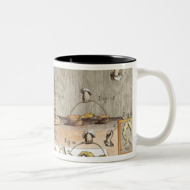 Experiment on frogs Two-Tone coffee mug (Right)
