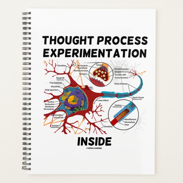 Expérimentation du processus de réflexion à l'inté (Devant)