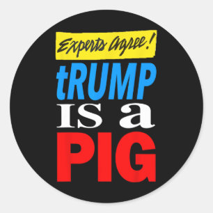 Experts Agree Trump Is A Pig  Classic Round Sticker