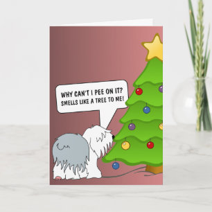 Explain the meaning of Christmas to your dog now! Holiday Card