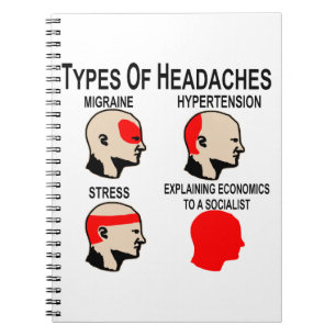 Explaining Economics To A Socialist Headache # Notebook
