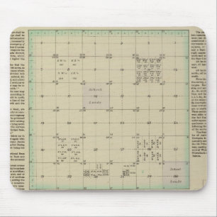 Explanation of Government Surveys Mouse Pad