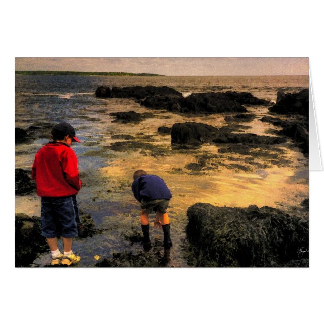 Exploration des bassins de marées (Devant horizontal)