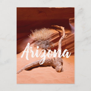 Explore Arizona Postcard