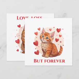 Explore Maine Coon cat rescue near me  Holiday Card