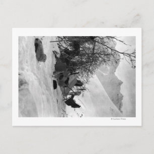 Explorer's Tent and Belongings at Camp Site Postcard