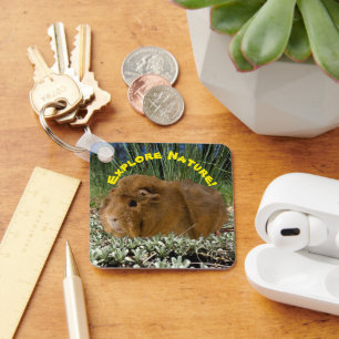 Exploring Nature With A Cute Guinea Pig Photograph Keychain
