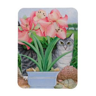 Exploring Possibilities 2011 Magnet