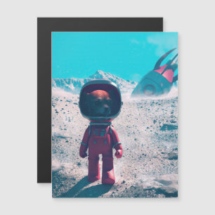 Exploring the Desolate Planet