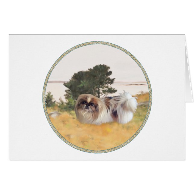 Exploring the shore (Devant horizontal)