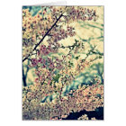 Explosion de rêve (vide à l'intérieur)