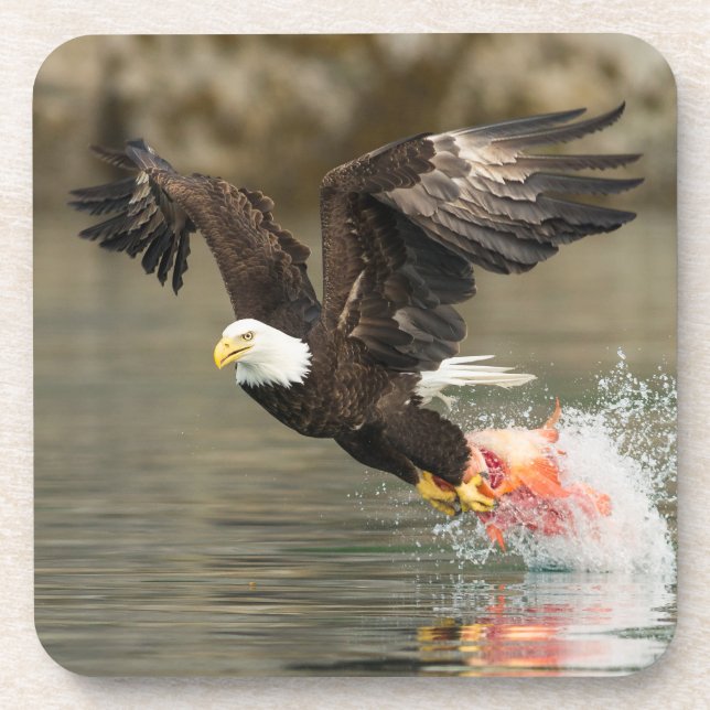 Explosive Bald Eagle Coaster (Front)