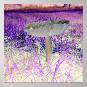 Exposed Effect Mushroom Poster