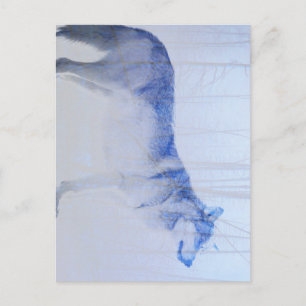 Exposed Wolf Postcard