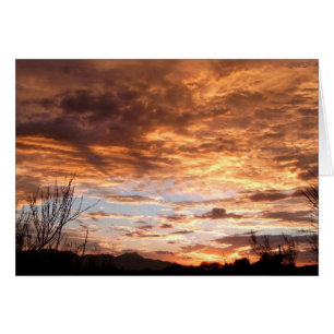 "Exposition de l'Arizona "