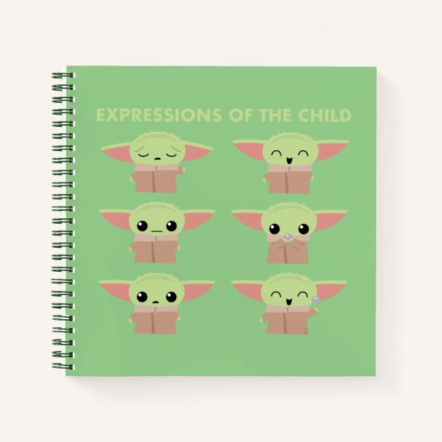 Expressions of The Child Illustrated Chart Notebook (Front)