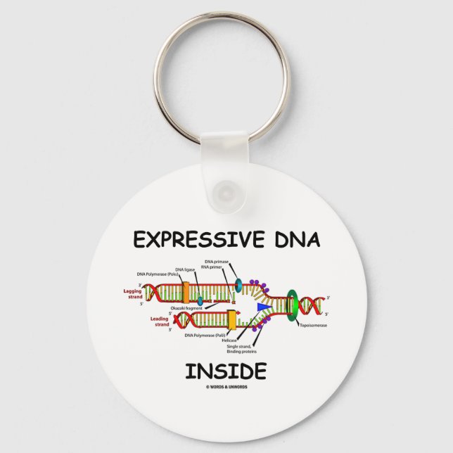 Expressive DNA Inside (DNA Replication) Keychain (Front)