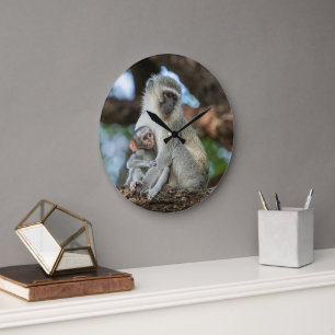 Expressive Vervet Monkey in Africa Large Clock